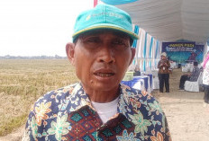 Hasil Panen Padi Melimpah, Petani Kedung Banjar Pemalang Sampaikan Keluhannya