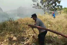 Hitungan Jam, Pabrik Kasur dan Bengkel Kayu di Tegal Ludes Terbakar