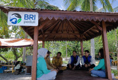 Dari Potensi Lokal ke Prestasi Nasional, Desa BRILiaN Sausu Tambu Perkuat Ekonomi Pesisir