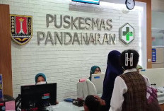 Kasus Leptospirosis di Semarang Terus Meningkat, Dinkes Perkuat Operasi Tangkap Tikus hingga Tingkat RT