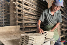 Harga Genteng Sokka Kebumen Naik 100 Persen, Stok Habis Sebelum Matang