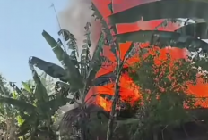 Dua Rumah Kayu Terbakar Hebat di Tengaran Kabupaten Semarang