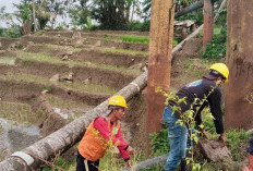 Dipicu Pergerakan Tanah, Dua Pipa Transmisi Tirta Ayu Tegal Putus