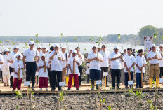Manfaatkan Sampah Jadi Pemecah Ombak, BRI Peduli Tanam 30 Ribu Bibit Mangrove di Pantai Utara Jawa
