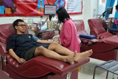 Stok Darah Ramadan di PMI Semarang Aman 5 Hari, Pendonor Turun 70 Persen, Golongan O Menipis
