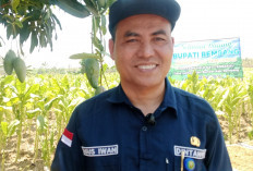 Petani Rembang Keluhkan Harga Tembakau Anjlok, Kadintanpan Ungkap Alasan Sinar Matahari Bikin Kualitas Merosot