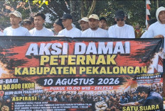 Harga Pakan Melambung Membuat Peternak Pekalongan 'Loyo', Tuntut Pemerintah Bertindak