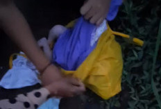 Tega! Bayi Perempuan Dibuang di Pinggir Jalan Desa Batursari Wonosobo, Ari-ari Masih Menempel