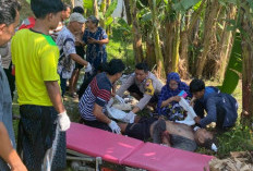 Dua Remaja di Kuripan Pekalongan Kehilangan Tangan Akibat Ledakan Petasan