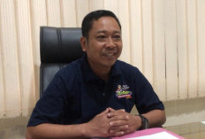 Tanggul Laut Surodadi Demak Hampir Rampung, 3 Tahun Lagi Mangrove Bisa Jadi Wisata