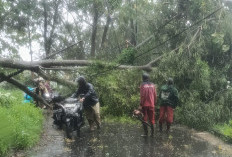 Hujan Deras dan Angin Kencang Porak-porandakan Kota Semarang