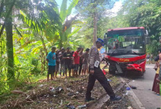 Hindari Kucing Melintas, Kecelakaan Beruntun Bus Trans Jateng di Purworejo Renggut Nyawa Pemotor