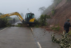 Tikungan Sibelis Paninggaran Pekalongan Longsor, Waspada Bencana Susulan 