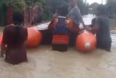 Sungai Cenang dan Cacaban Meluap, Ribuan Rumah di Pantura Tegal Terendam Banjir