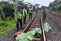 Petugas Pengontrol Rel Tewas Tertemper Kereta di Kandeman Batang