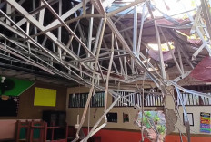 Pohon Raksasa Tumbang Saat Jam Belajar, Atap Kelas 1 SDN Sendangmulyo 03 Semarang Ambrol, Siswa Dievakuasi