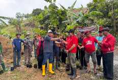 Upaya PDIP Kudus Menjaga Bumi, Merawat Pertiwi Kado untuk Ibu Megawati Soekarnoputri