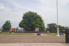 Gratis dan Instagramable, Festival Lampu Alun-alun Batang Digelar Mulai 26 Desember 2025