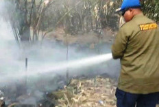 Musim Kemarau Melanda, Tegal Dilanda Serangkaian Kebakaran Lahan