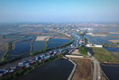 Investor Raksasa Cina Kepincut Investasi Maritim di Pulau Seprapat dan TPI Juwana Pati