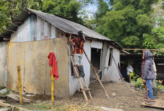 Semarang Rawan Tanah Gerak dan Longsor, Agustina: Kita Perbanyak Embung di Wilayah Atas Kota Semarang