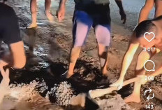 Viral! Konten Creator Lakukan Aksi Perbaiki Jalan Rusak, Suted: Saya Sering Jadi Korban