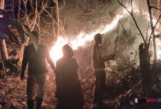 Kebakaran Lahan 4 Hektare di Gunung Kanthil Kebumen, Api Padam Setelah 3 Jam