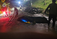 Talud Jalan Honggowongso Semarang Ambles 5 Meter, DPU Ungkap Crossing Saluran Sudah Rapuh Dimakan Usia