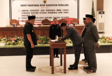 Pastikan Perubahan APBD 2026, Pemkab Pemalang Tetap Fokus pada Pelayanan Masyarakat