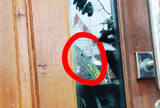 Pintu Kaca Rumah Warga di Pati Berlubang, Diduga Ditembak Orang Tak Dikenal 