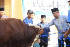 Polres Tegal Salurkan Hewan Kurban kepada Masyarakat dan Pondok Pesantren