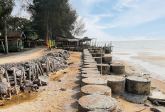 Abrasi Mengikis Pantai Caruban Rembang, Kunjungan Wisatawan Anjlok 50 Persen