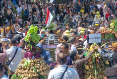Parade Sewu Kupat 2026, Dari Kirab hingga Grebeg Ketupat di Pegunungan Muria 