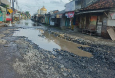 Tiga Bulan Terendam Banjir, Warga Bonang Pertanyakan Kinerja Pemkab