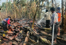 Dua Kandang Kerbau di Undaan Kudus Kebakaran