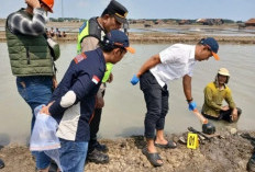 Penemuan Kerangka Manusia Terkubur di Tanggul Tambak Gegerkan Warga Jepara, Korban Pembunuhan Kah? 