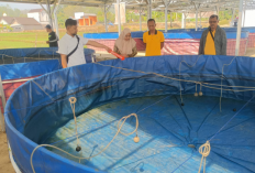 Ditemukan Kapur Barus, 5.000 Ikan Lele Milik Koperasi Merah Putih di Boyolali Mati Diduga Diracun 