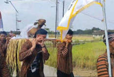 Kirab Ingkung Kambing Kendit dan 8 Gunungan Warnai Tradisi Rasulan Warga Wiro Bayat Klaten 