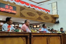 Peternak Unggas Lokal Pati Mengeluh, Minta Penyerapan Telur dalam Program MBG