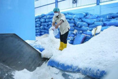 Pabrik Garam Industri di Pati Didesak Jadi Pelaku Utama Industri dan Bukan Pedagang Garam