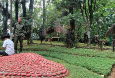 Wrayan View Jatinegara Tegal Bangkit dari Sunyi Pandemi, Panorama Lereng Slamet Siap Menyapa Awal 2026