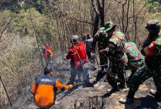 1,6 Hektare Hangus, Kebakaran Hutan di Lereng Gunung Merapi,