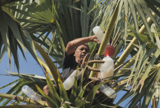 Desa Hendrosari Bangkit, Ekonomi Melaju Berkat Pemberdayaan Desa BRILian