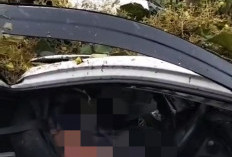 Hujan Angin Robohkan Pohon Jati di Pantura Batang, Sebuah Mobil Tertimpa