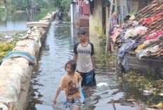 Kondisi Banjir Kota Pekalongan Berangsur Surut, Pengungsi Masih 2.268 Jiwa
