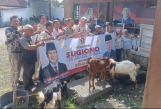 Duo 'S' Petinggi Gerindra Bagi-bagi Hewan Kurban, Ketua DPC Yuliyanto : Salatiga Tahun ini Lebih Banyak