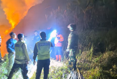 Polri Bergerak Cepat Cegah Kebakaran Merembet Ke Hutan Pinus Di Bumijawa Tegal