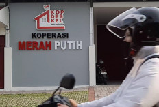 Pasokan Seret, Koperasi Merah Putih Kota Semarang Tetap Raup Rp869 Juta, Ini Kendalanya