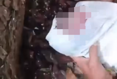 Bayi Perempuan Ditemukan di Depan Makam Desa di Bandungan, Kondisi Masih Hidup Terbungkus Plastik