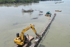 Demak Perkuat Pertahanan Pesisir, Tanggul 900 Meter di Sayung Jadi Bagian Strategi Lawan Rob